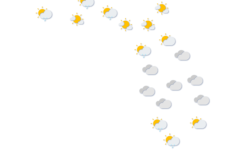 Forecast