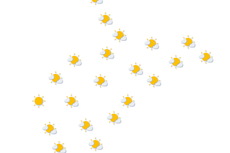 Forecast