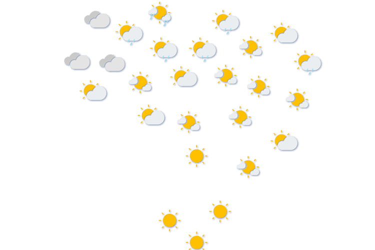 Forecast
