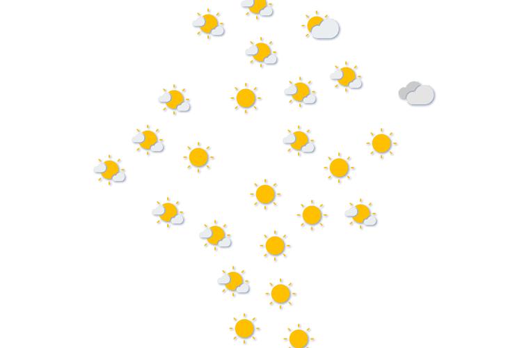 Forecast