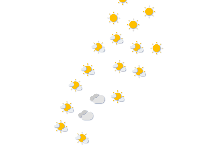 Forecast