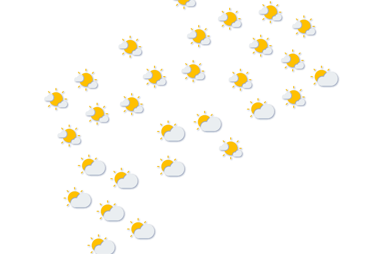 Forecast