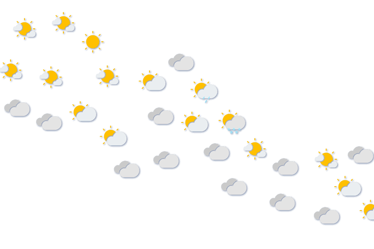 Forecast