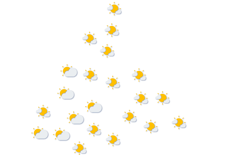Forecast