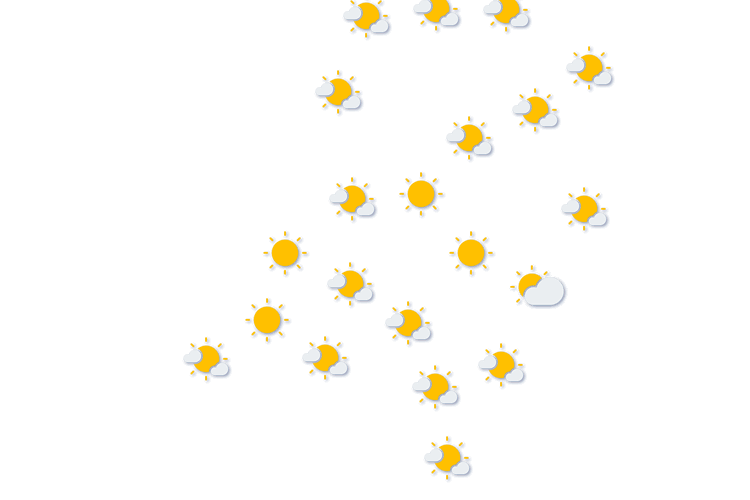 Forecast