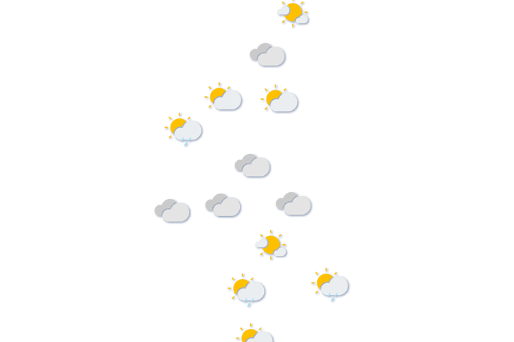 Forecast