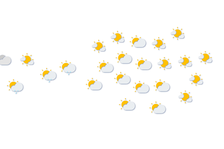 Forecast