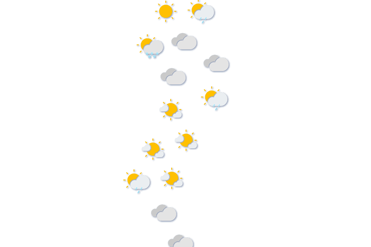Forecast