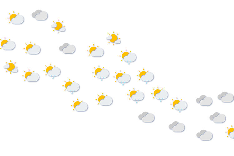 Forecast