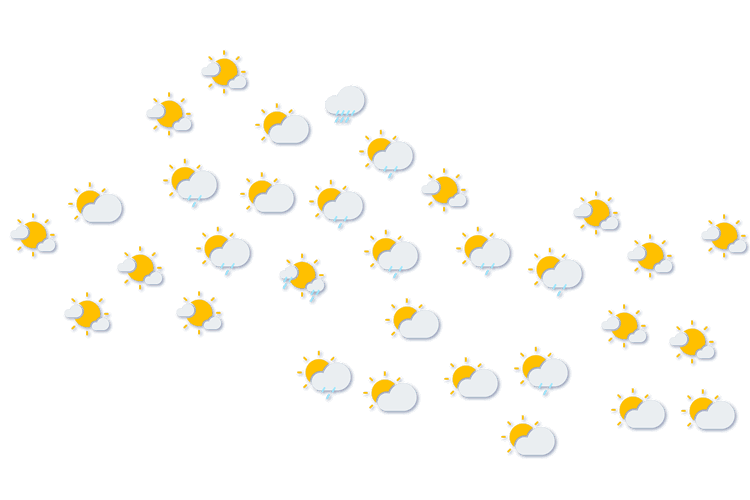 Forecast