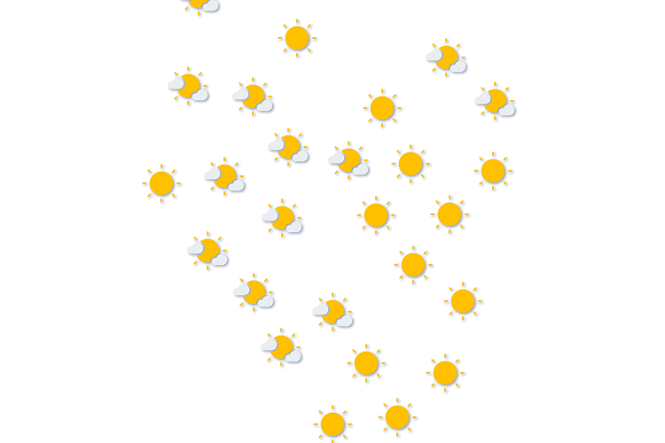 Forecast