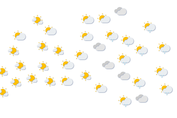 Forecast