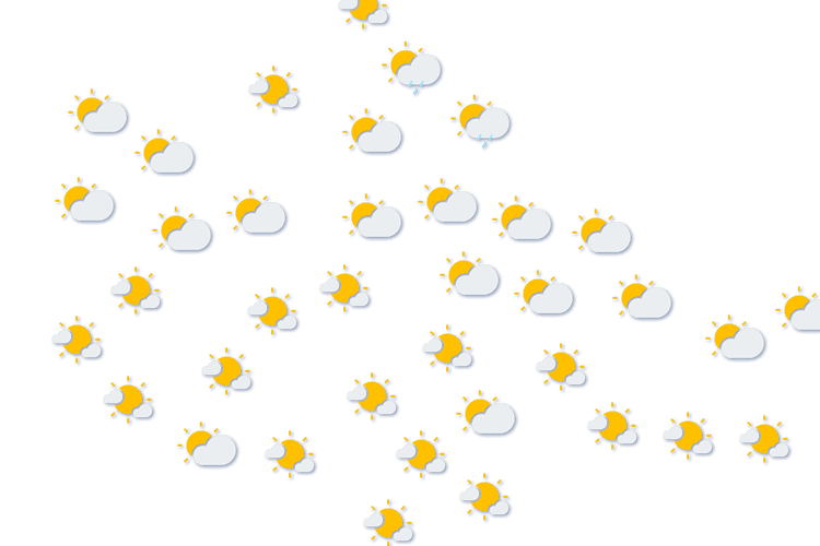 Forecast