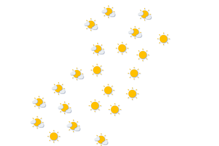 Forecast