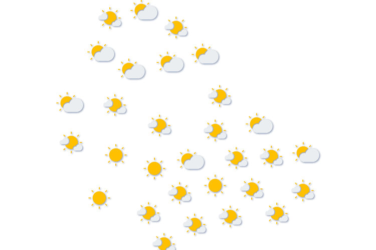 Forecast