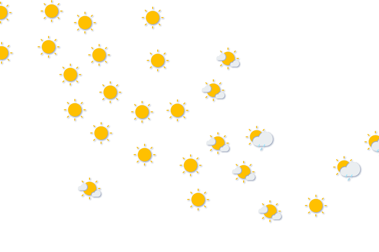 Forecast