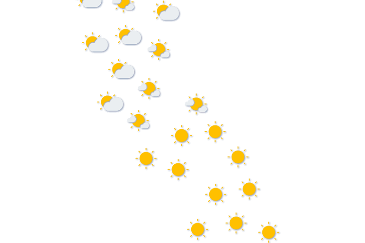 Forecast