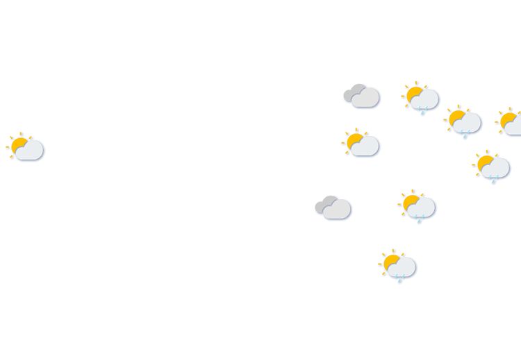 Forecast