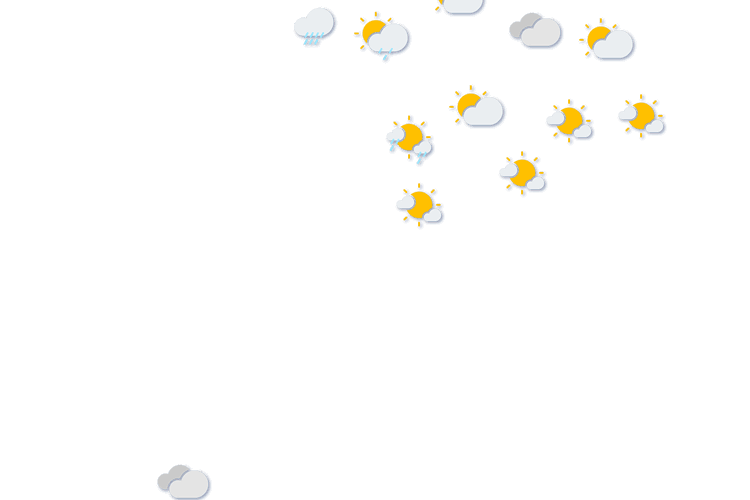 Forecast
