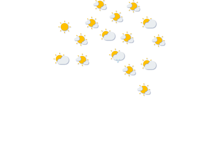 Forecast