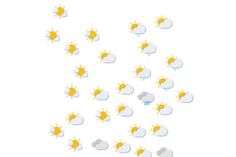 Forecast