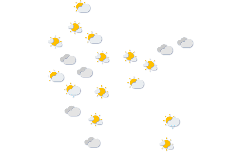 Forecast