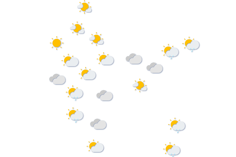 Forecast