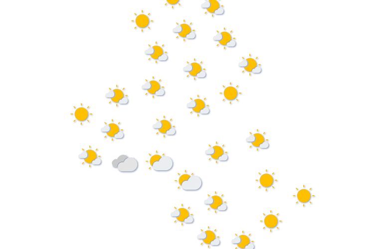 Forecast