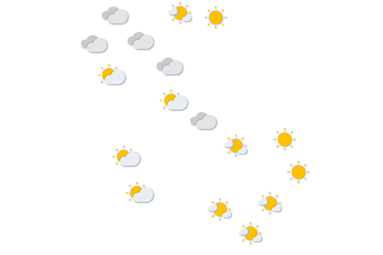 Forecast