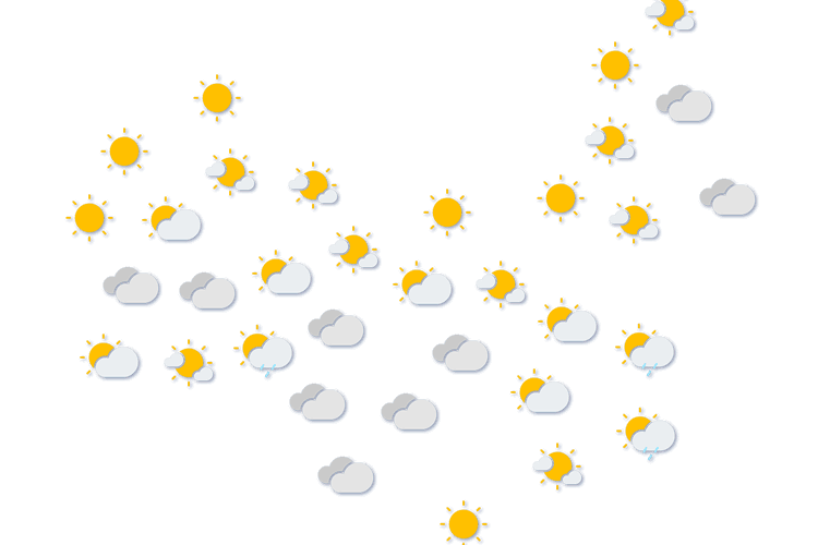 Forecast