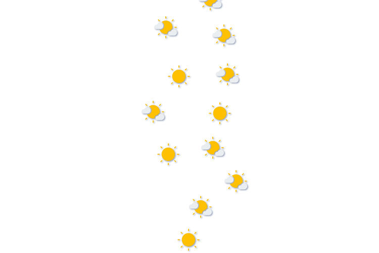 Forecast