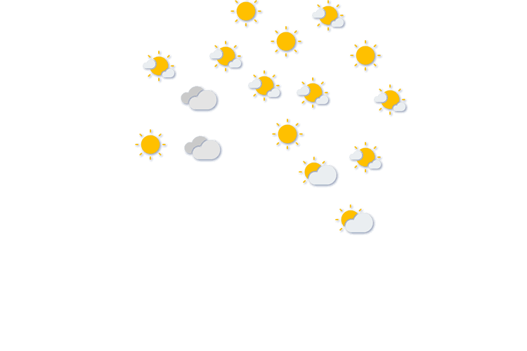 Forecast