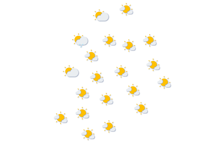 Forecast