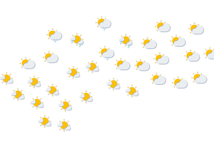 Forecast