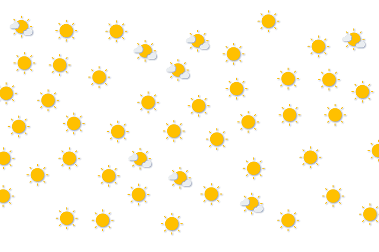 Forecast