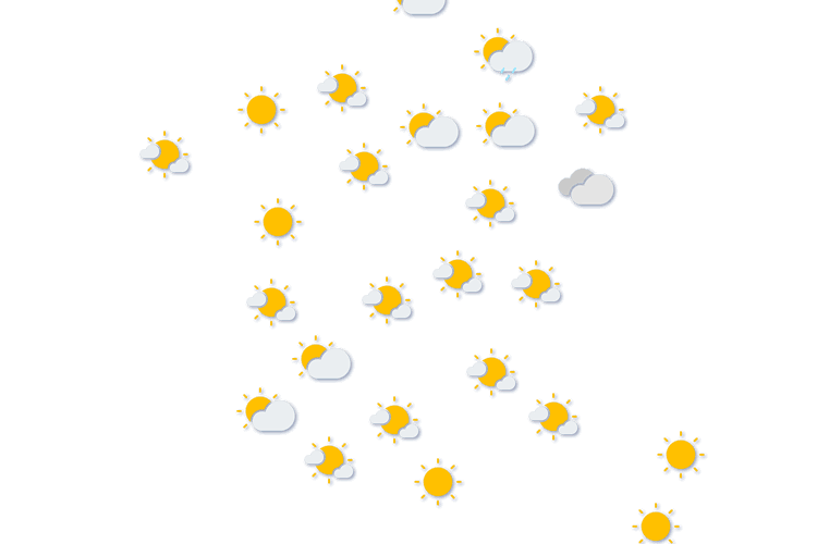 Forecast