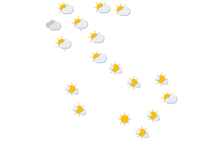 Forecast