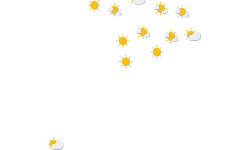 Forecast
