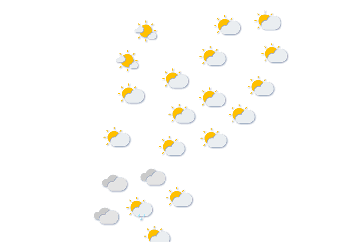 Forecast