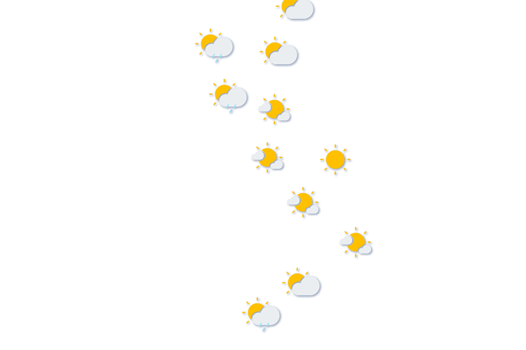 Forecast
