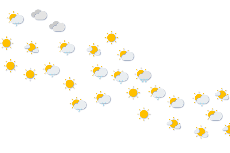 Forecast
