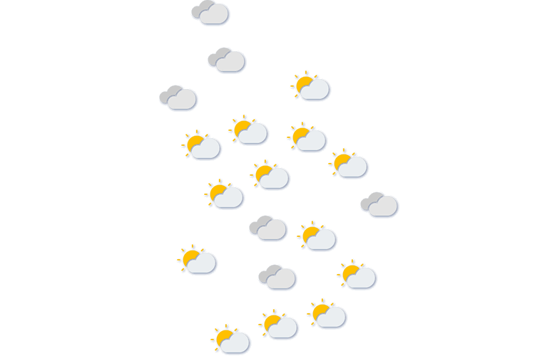Forecast
