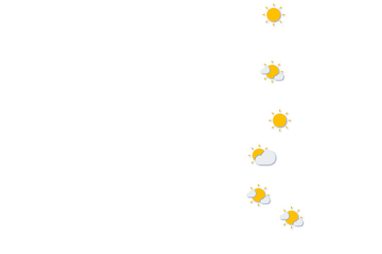 Forecast