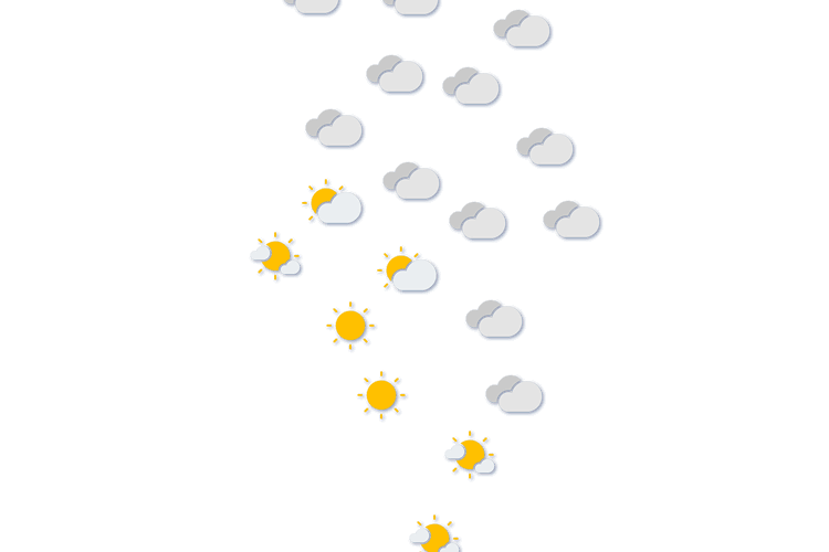 Forecast