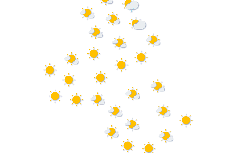 Forecast