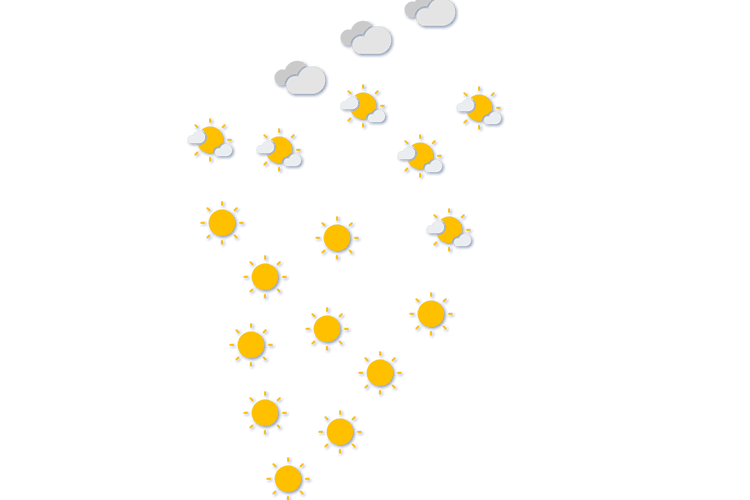 Forecast