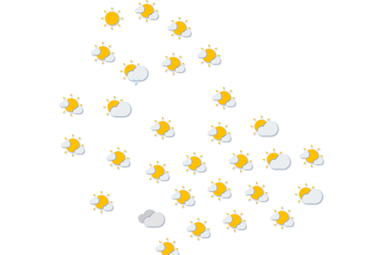 Forecast
