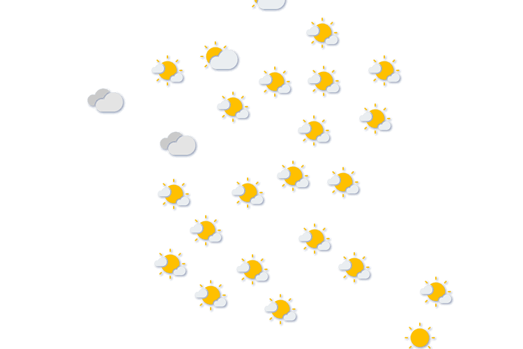 Forecast