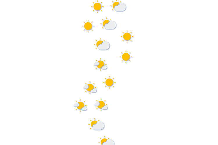 Forecast