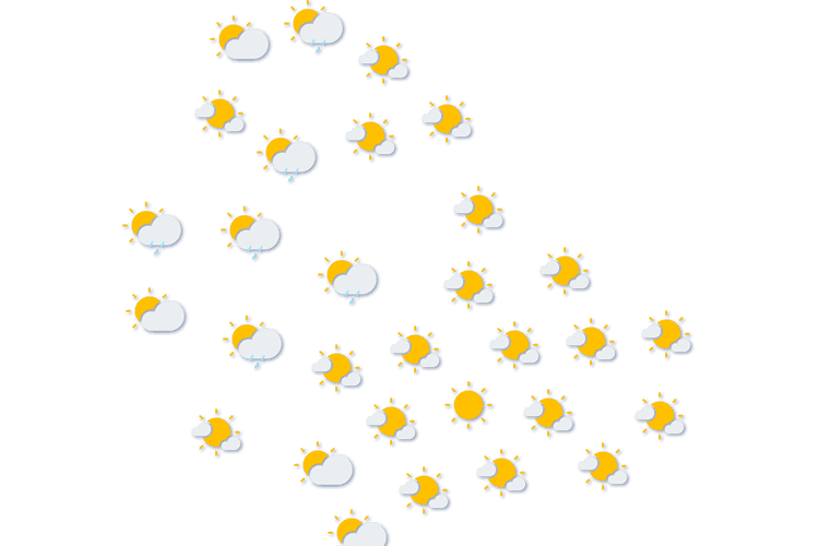 Forecast